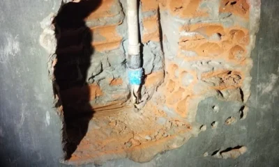 image_6483441-61-900×600 image_6483441-61-900x600