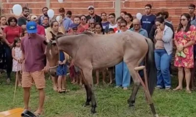 image_6487327-93-1000x600