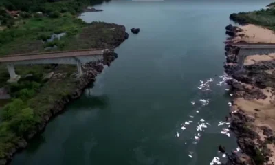 Desabamento parcial da ponte que liga as cidades de Aguiarnópolis (TO) e Estreito (MA), na BR-226. • Instagram/ @vshenrique