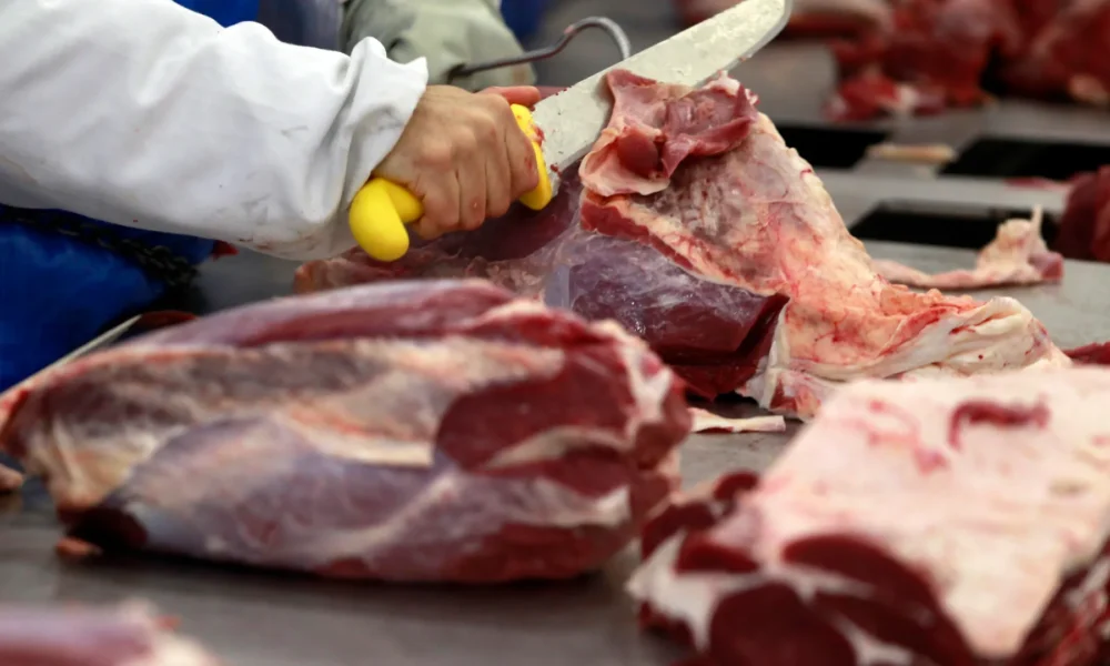 A investigação abrange todos os países exportadores de carne bovina para o país asiático • Reuters