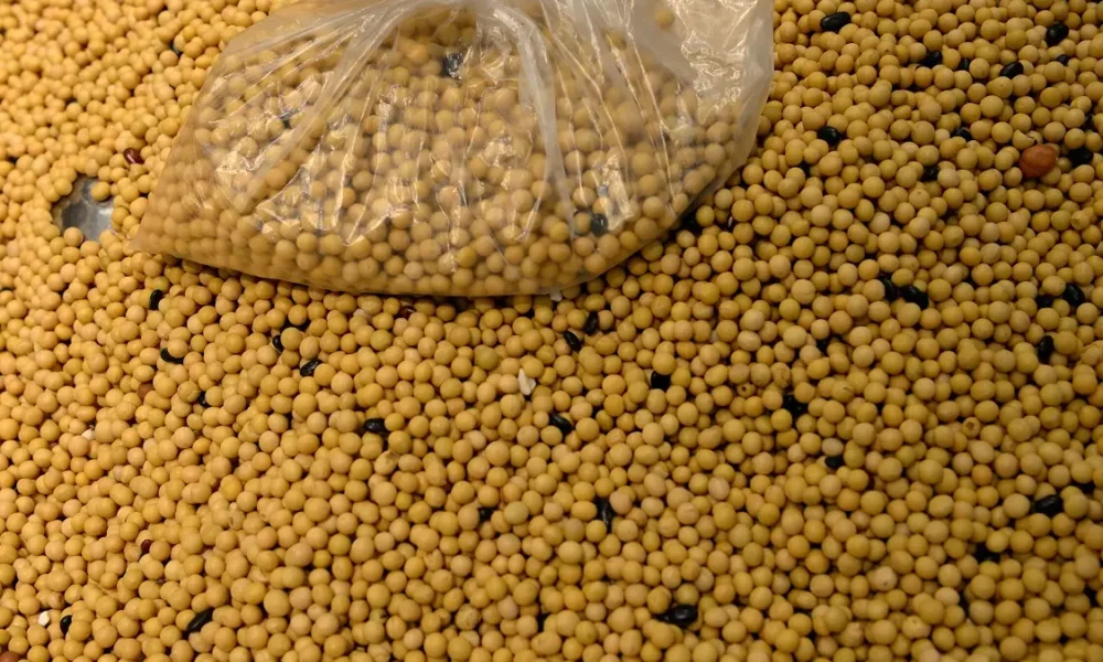 REUTERS/Tingshu Wang