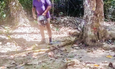 39D23C14-A8D1-4501-AAE0-75691D07B62C 39D23C14-A8D1-4501-AAE0-75691D07B62C