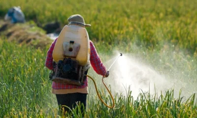 700-40jpg Uso de agrotóxicos pode causar graves riscos à saúde — Foto: SES/Divulgação