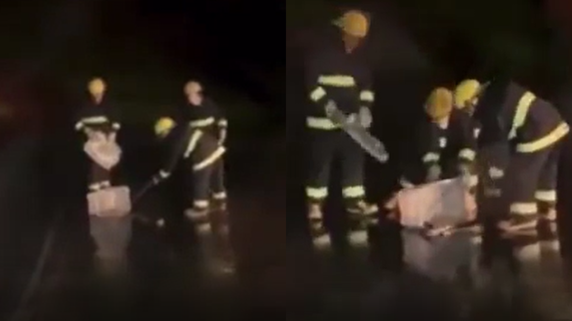 Decolagem de avião é interrompida após cobra atravessar pista em aeroporto no Mato Grosso