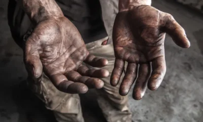 Denúncias são cruciais contra o trabalho escravo
|  Foto: Divulgação/Shutterstock