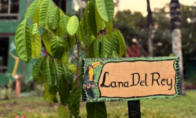 Frame-491-2025-01-20T122751