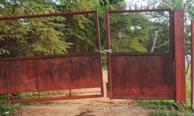 IMG-20250117-WA0014-900×600-1 IMG-20250117-WA0014-900x600-1