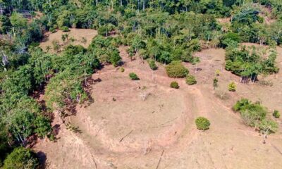 Foto: Larissa Miranda