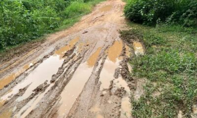 Screenshot_20250114_054033_Instagram-1000×600 Screenshot_20250114_054033_Instagram-1000x600