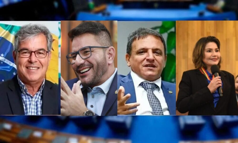 WhatsApp Image 2025-01-03 at 17.55.56