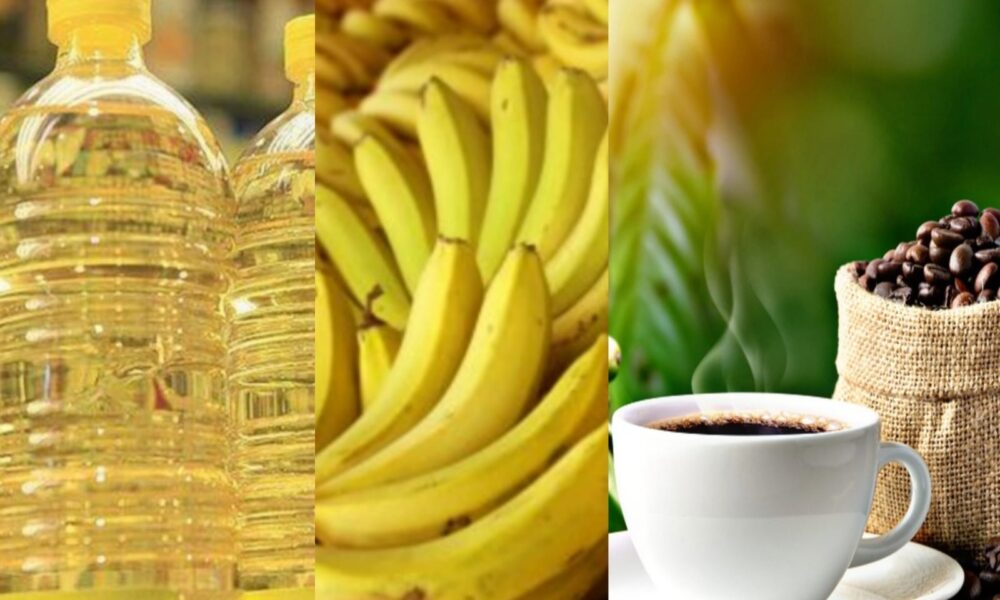 WhatsApp Image 2025-01-04 at 10.02.16