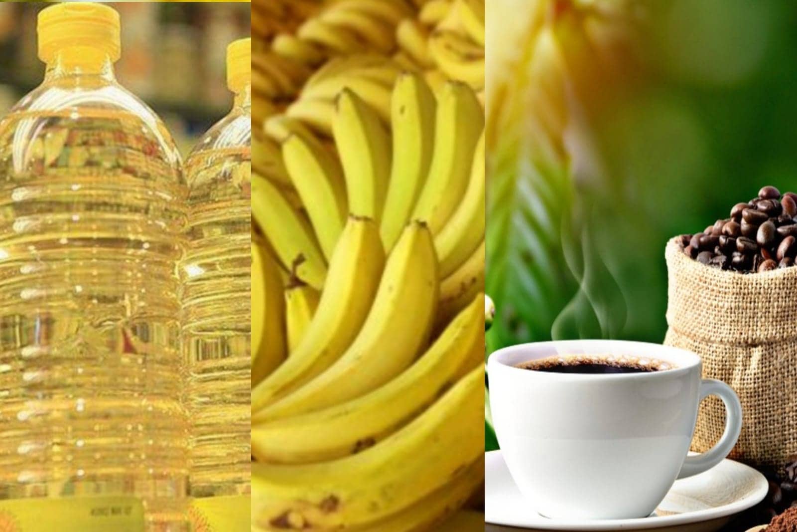 Café, banana e óleo elevaram o custo da cesta básica em Rio Branco nas festas de final de ano