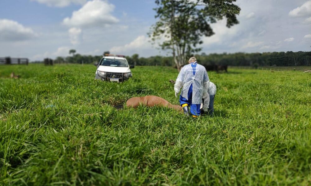 WhatsApp-Image-2025-01-06-at-14.53.38-1