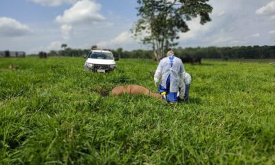 WhatsApp-Image-2025-01-06-at-14.53.38-1