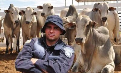 WhatsApp Image 2025-01-07 at 15.42.16