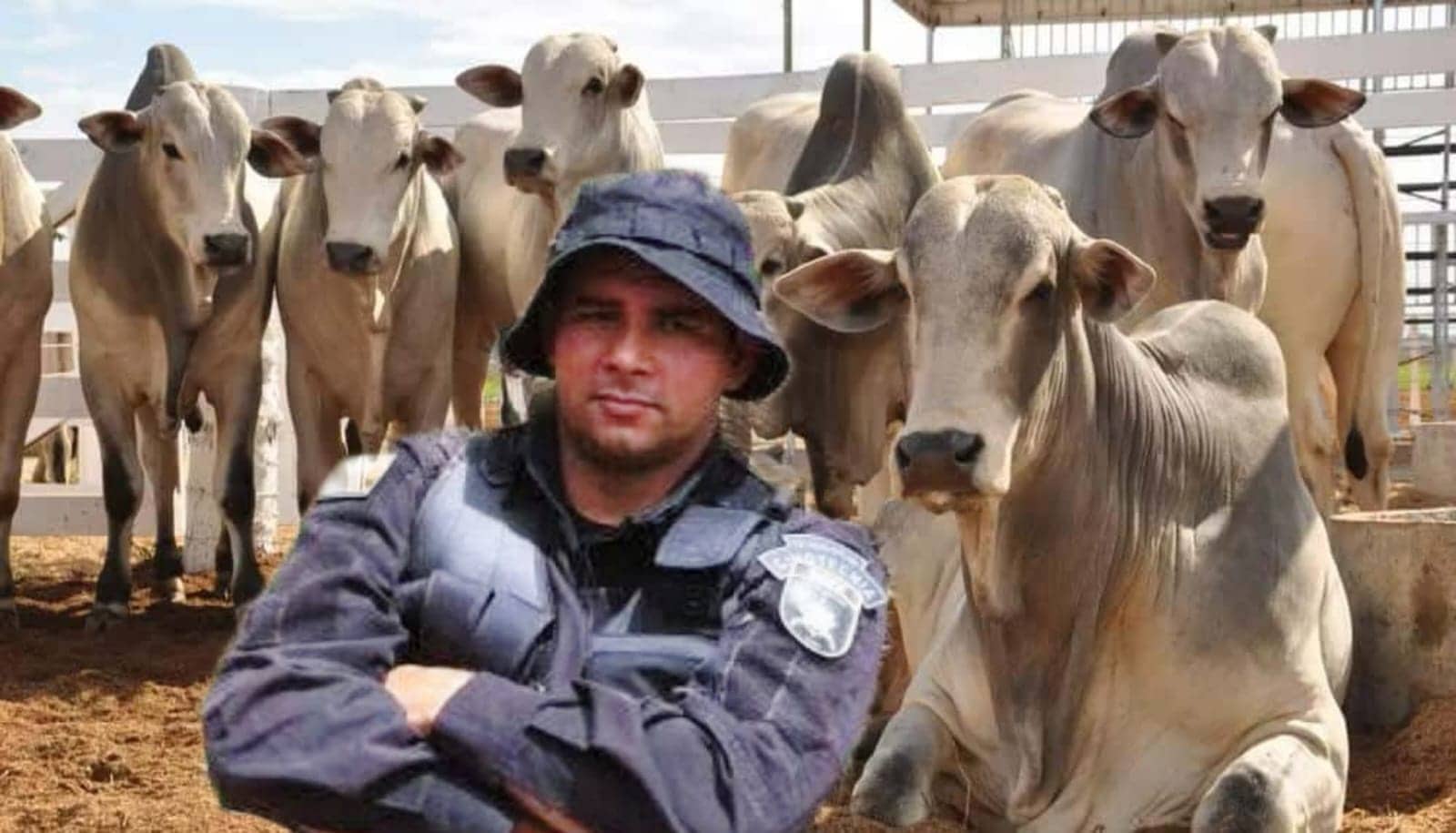 Justiça condena sargento da Polícia Militar do Acre por estelionato com compra e venda de gado