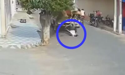 WhatsApp Image 2025-01-12 at 09.52.02