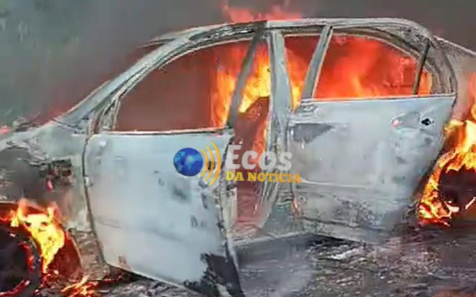 WhatsApp Image 2025-01-13 at 16.28.17 WhatsApp Image 2025-01-13 at 16.28.17