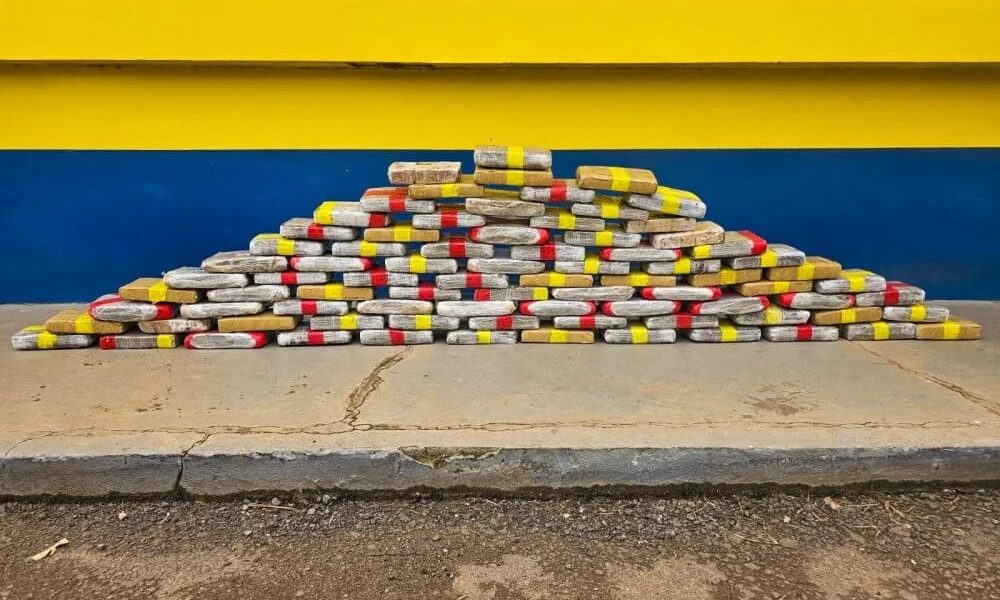 WhatsApp Image 2025-01-16 at 17.31.17