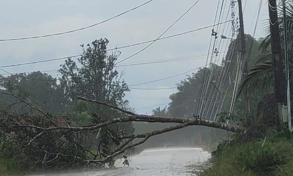 WhatsApp Image 2025-01-21 at 18.43.05