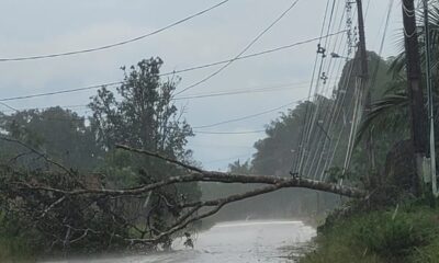 WhatsApp Image 2025-01-21 at 18.43.05