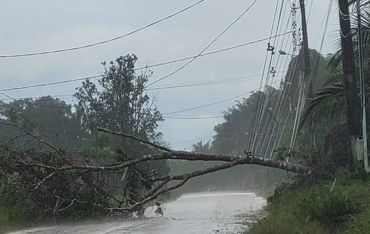 Ventania destelha casas, derruba árvores e deixa Cruzeiro do Sul sem energia elétrica