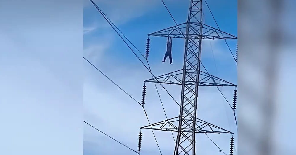 WhatsApp Image 2025-01-26 at 15.25.14 WhatsApp Image 2025-01-26 at 15.25.14