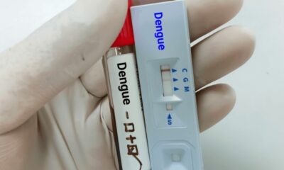 Pela primeira vez, teste rápido para dengue será disponibilizado na rede pública de saúde. Foto: internet