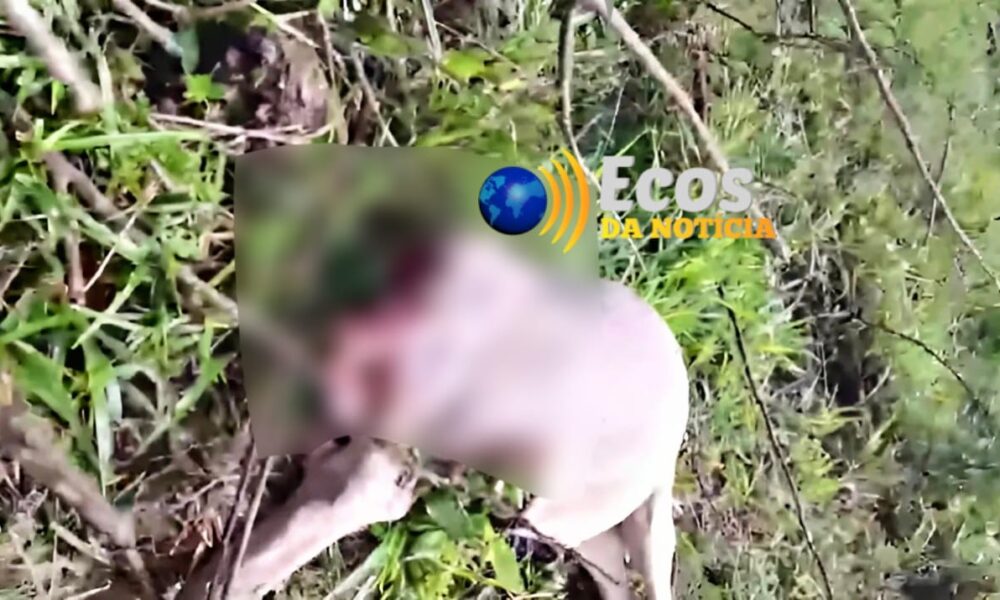 WhatsApp Image 2025-01-27 at 16.36.19