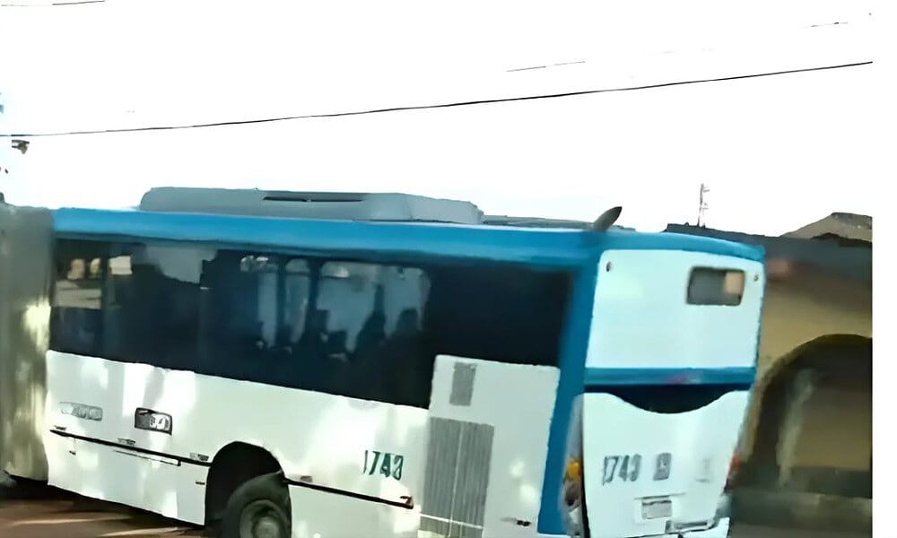 WhatsApp Image 2025-01-30 at 14.30.03 WhatsApp Image 2025-01-30 at 14.30.03