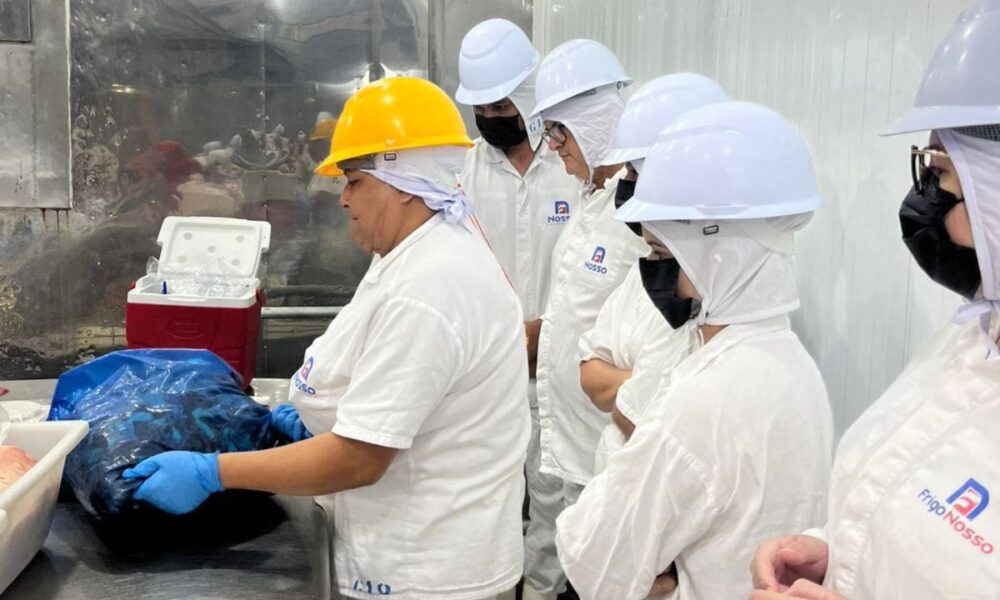 Laboratórios devem manter vasto controle sobre todas as etapas que compõem qualquer tipo de exame. Foto: Fabiana Matos/Idaf