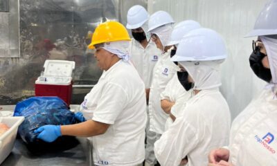 WhatsApp Image 2025-01-30 at 14.52.02 Laboratórios devem manter vasto controle sobre todas as etapas que compõem qualquer tipo de exame. Foto: Fabiana Matos/Idaf