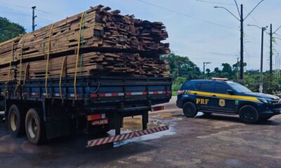 WhatsApp Image 2025-01-30 at 17.17.54