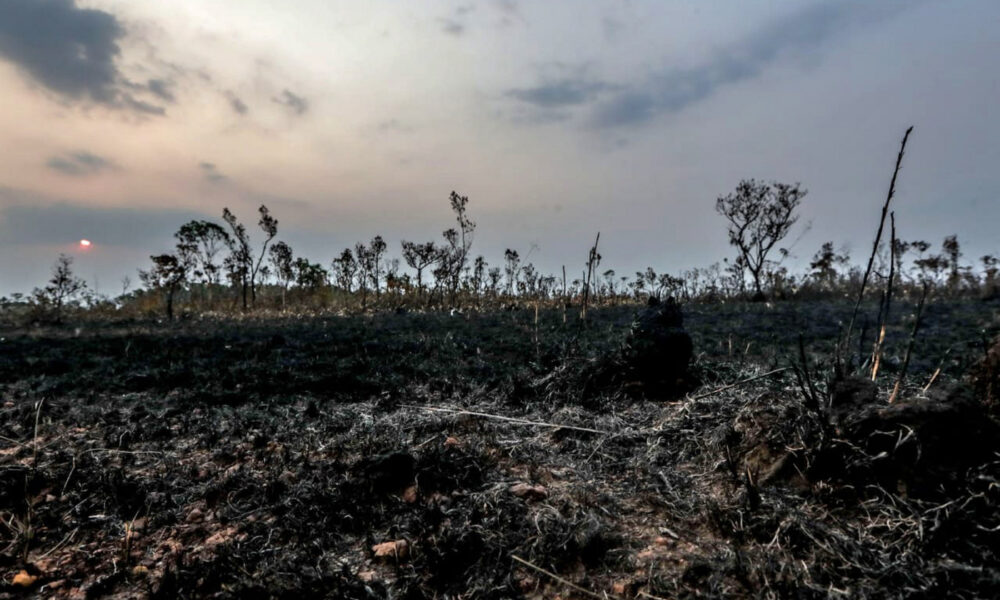 age20190826021 Imagem mostra os efeitos das queimadas e desmatamento na Amazônia