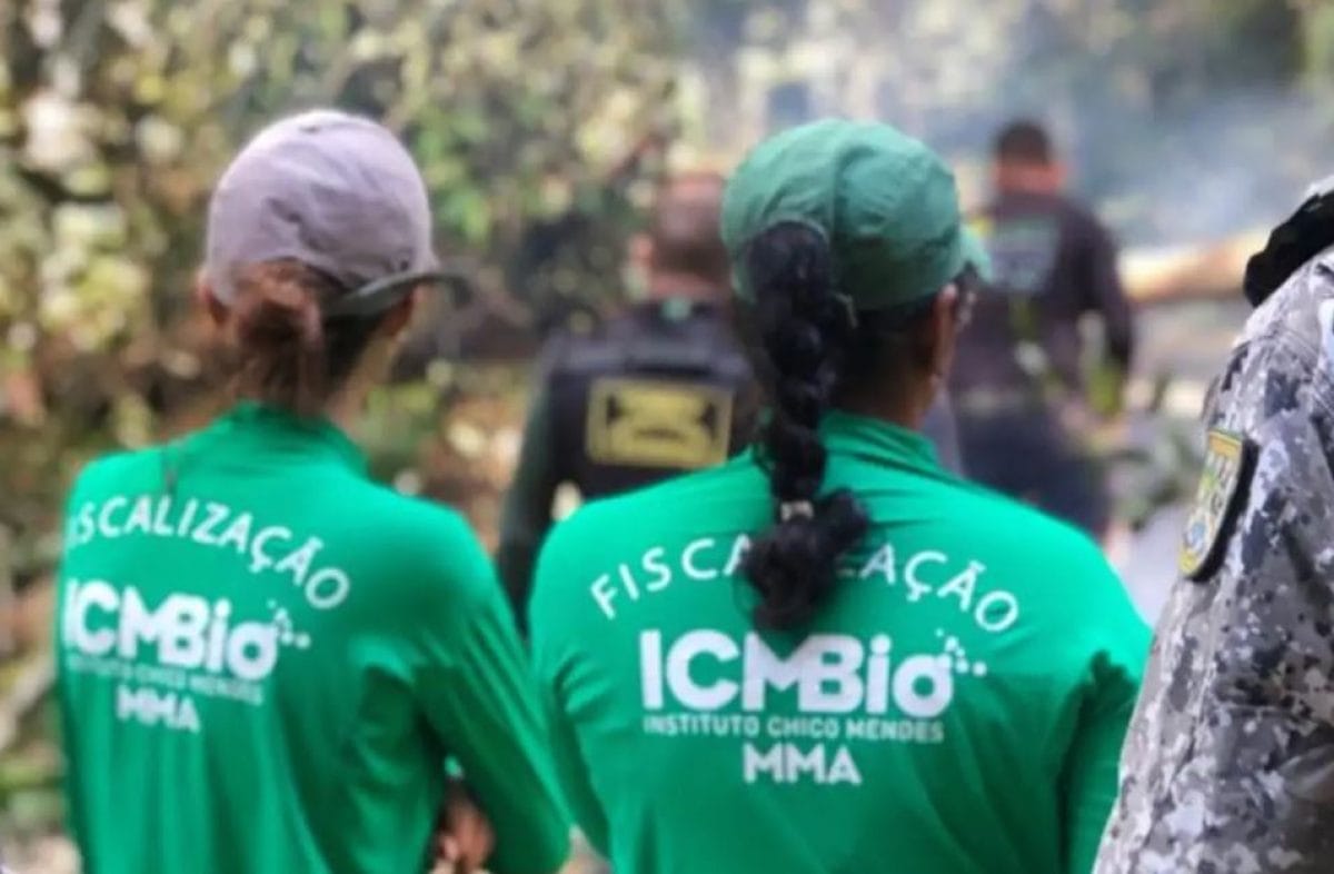 Inscrições em concurso do ICMBio com salários de até R$ 8,8 mil encerram nesta segunda