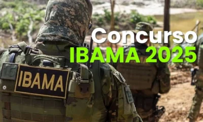 ibama-2025