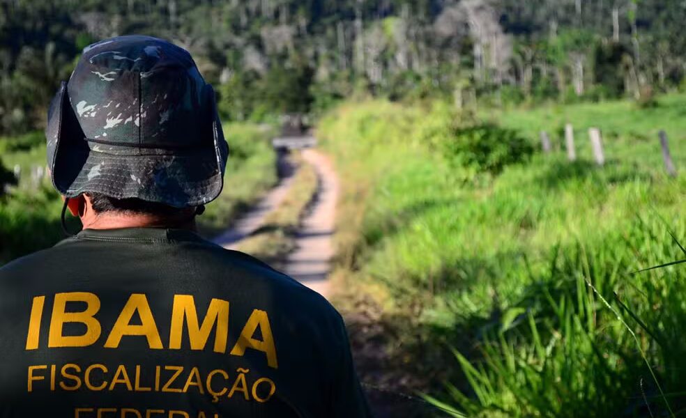 Seleção para o Ibama vai preencher oportunidades para Analista Administrativo e Analista Ambiental. — Foto: Divulgação/Ibama