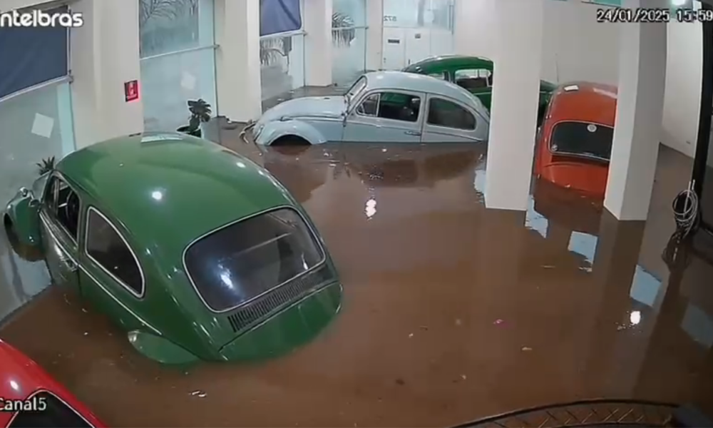 Sete fuscas afetados pela enchente foram vendidos pela metade do preço e dois ainda estão na loja. • Reprodução