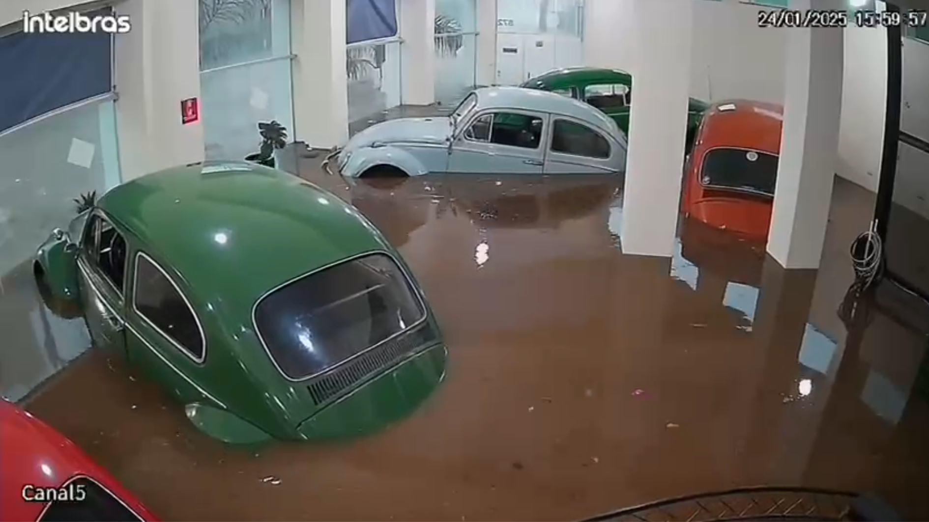 Fuscas boiam em loja após 10 minutos de enchente em SP