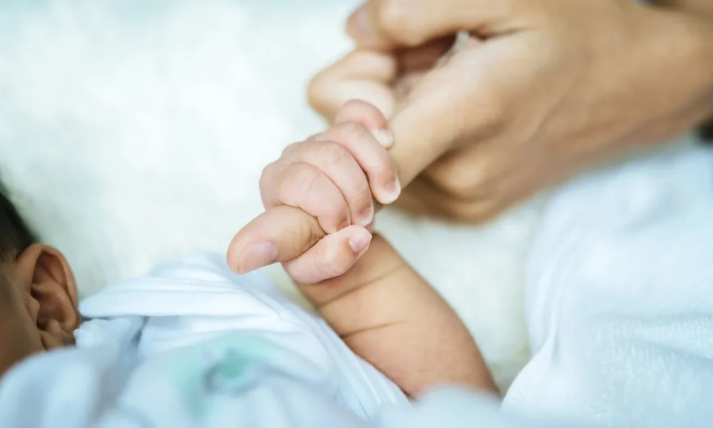 Propostas tramitam nas comissões do Senado • jcomp/Freepik