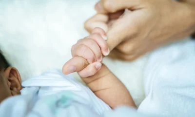 Propostas tramitam nas comissões do Senado • jcomp/Freepik