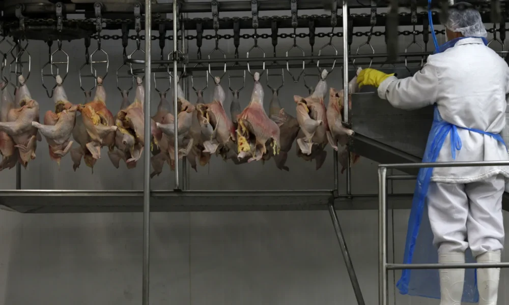 Carne de frango em frigorífico em Itatinga (SP) • 04/10/2011REUTERS/Paulo Whitake