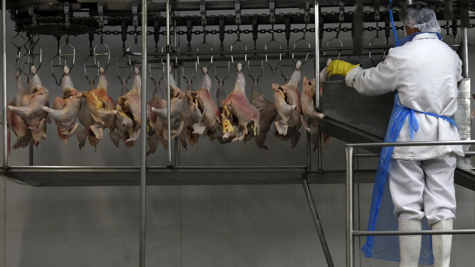 Indústrias de carnes bovina e de frango do Brasil projetam novos recordes em 2025