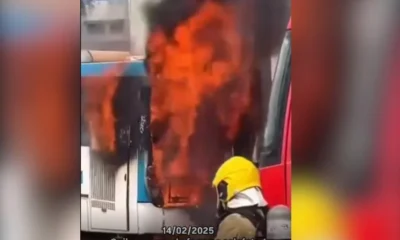 ACRE-976x695_IMAGEM-DESTACADA-8-1-976×600 ACRE-976x695_IMAGEM-DESTACADA-8-1-976x600