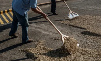 (Alejandro Cegarra/The New York Times)