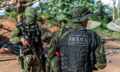 Ibama (Foto:Reprodução)