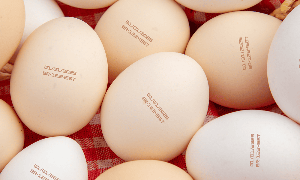 Foto: Freepik / Docnix