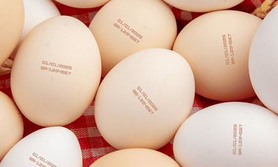 Foto: Freepik / Docnix