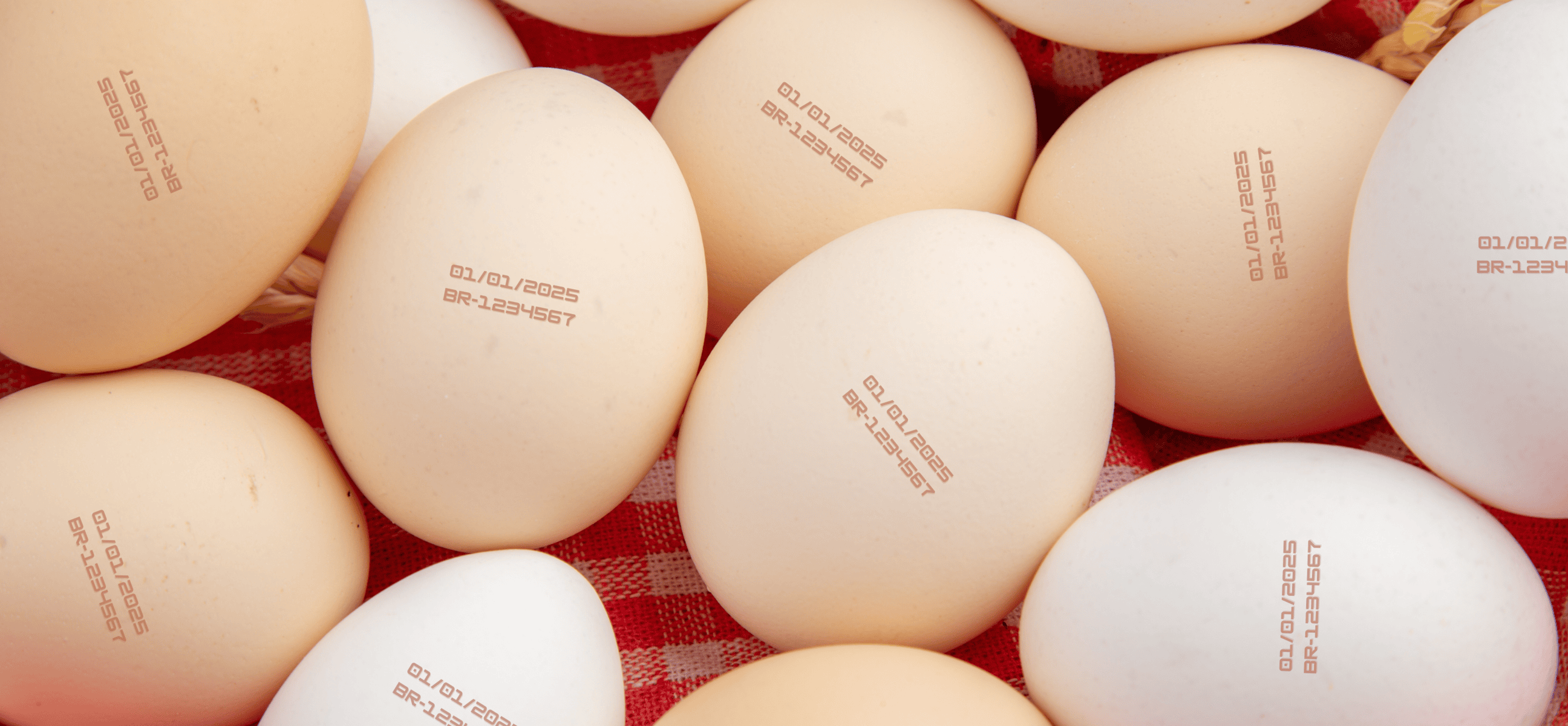 Sob pressão, governo suspende exigência de data de validade na casca de ovos