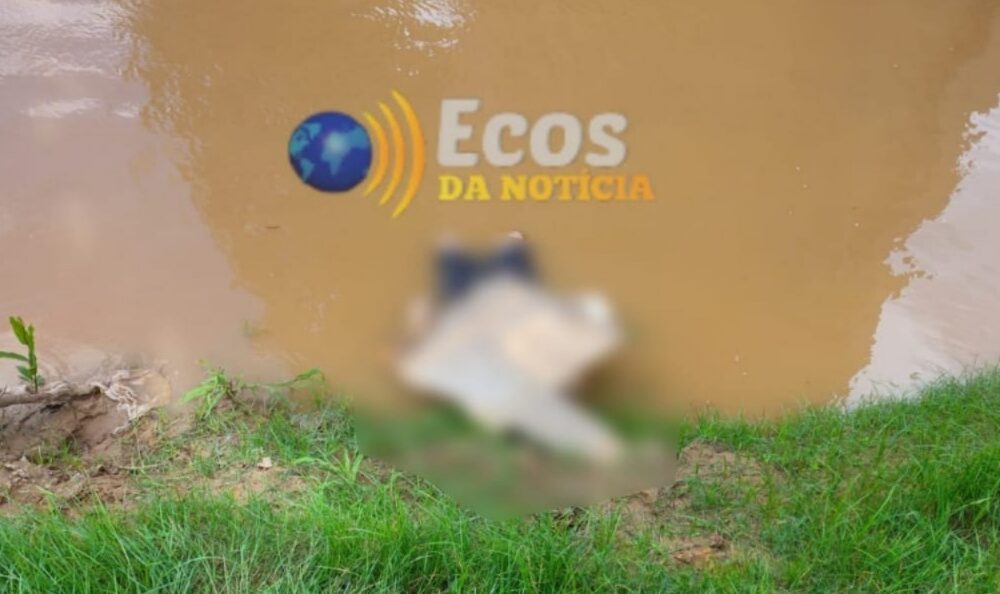 WhatsApp Image 2025-02-01 at 16.40.34 WhatsApp Image 2025-02-01 at 16.40.34